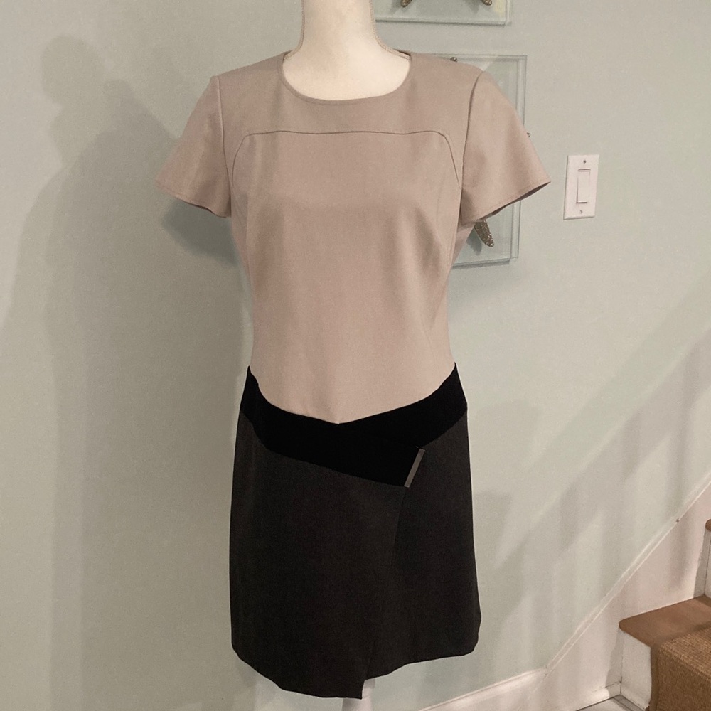 Carlisle Elegant Two-Tone Dress. Size 8.